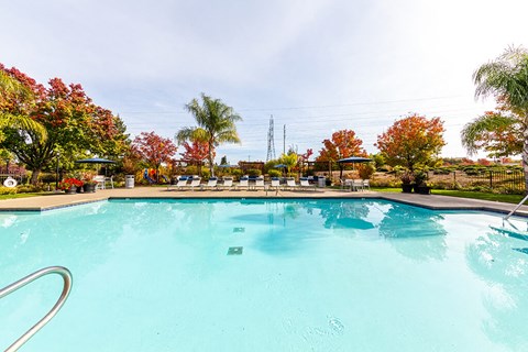 the swimming pool at the resort at governors residence