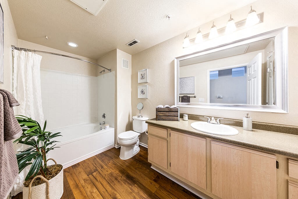 a bathroom with a toilet and a sink and a mirror