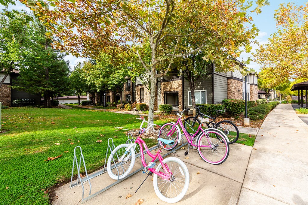 a group of pink bikes parked on a sidewalk