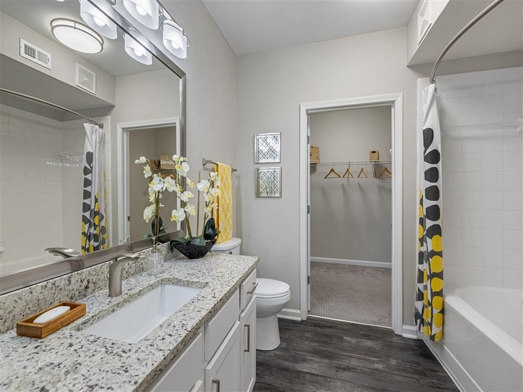 a bathroom with a sink and a toilet
