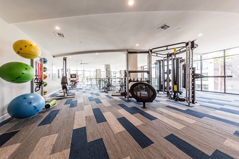a gym with weights and cardio equipment on the floor and large windows