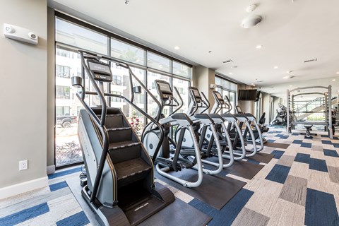 a row of cardio machines in a fitness room with windows