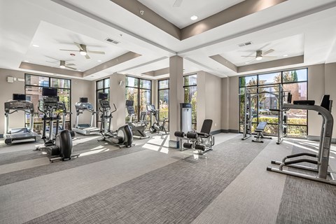 a gym with treadmills and other exercise equipment in a building with large windows