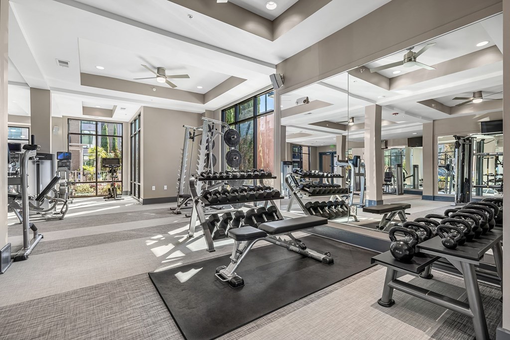 a gym with weights and dumbbells and windows