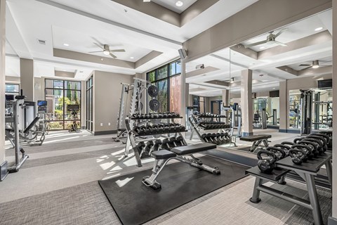 a gym with weights and dumbbells and windows