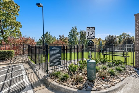 the preserve at ballantyne commons dog park