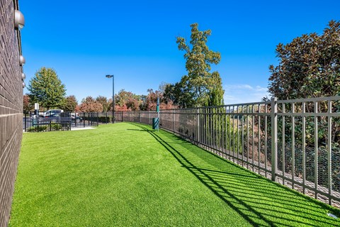 the yard is fenced in with a green lawn and a fence