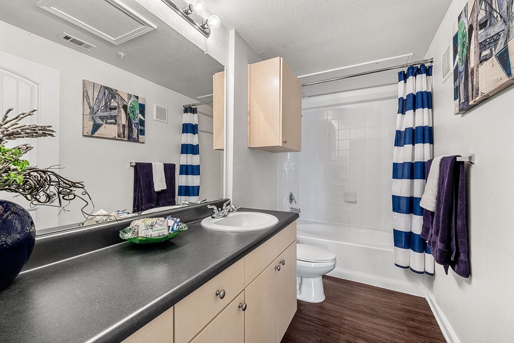 a bathroom with a sink and a toilet and a shower