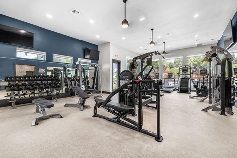 a gym with cardio equipment and weights at the enclave at woodbridge apartments in sugar land,