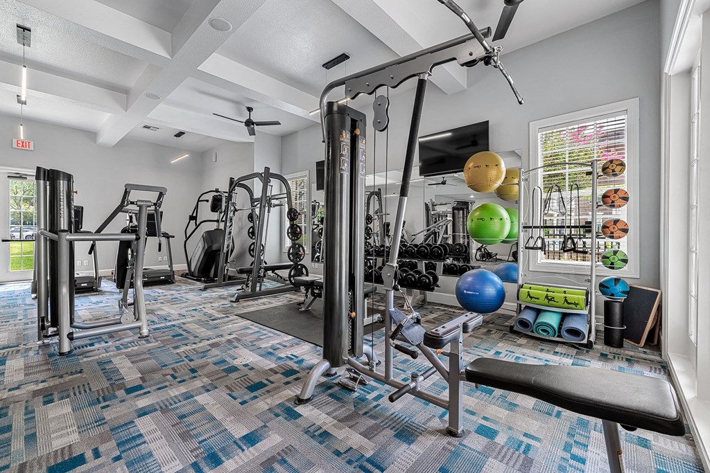 a gym with weights and cardio machines and a television