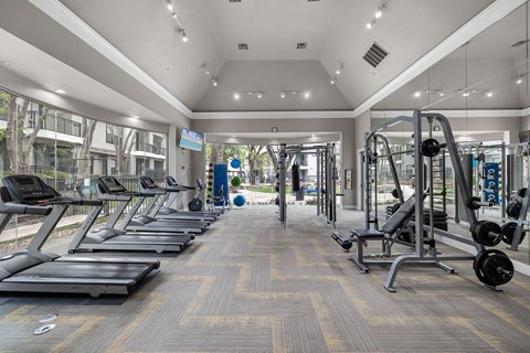 A gym with treadmills, weights, and exercise equipment.