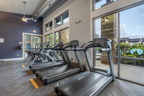 A gym with treadmills and a view of the outside.