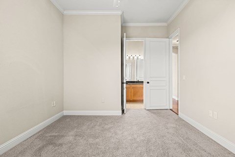 Spacious bedroom with closet