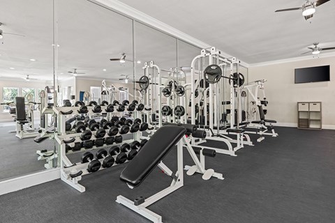 Large fitness room with a variety of equipment including treadmills, weights, and exercise machines.