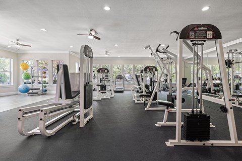 Large fitness room with a variety of equipment including treadmills, weights, and exercise machines.