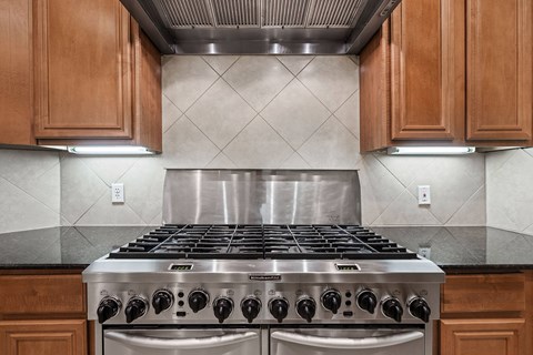 Chef styled, gourmet oven and range.