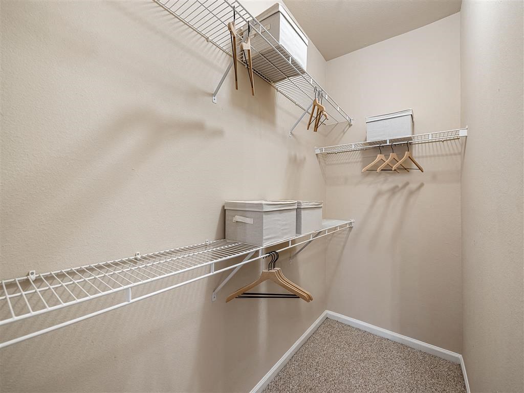 our spacious closets are equipped with shelves and racks for your clothes