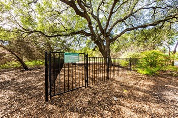 4411 Spicewood Springs 1-2 Beds Apartment for Rent - Photo Gallery 7