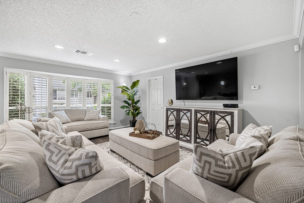 a living room with couches and a tv