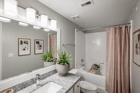 A bathroom with a sink, toilet, and a shower.