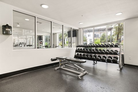 A gym with a row of black weights and a bench.