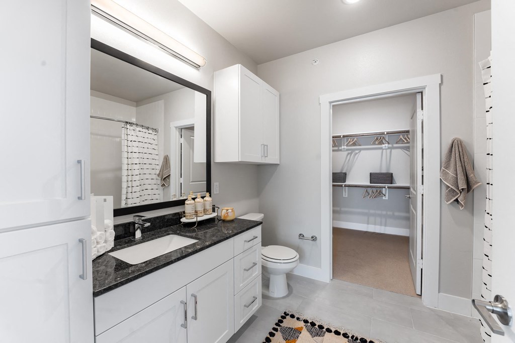 a bathroom with a sink and a toilet and a mirror