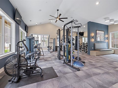 the gym in the home is equipped with weights and cardio equipment