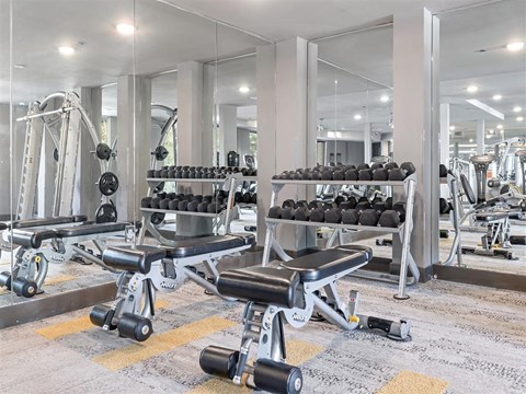 the gym at the condo is equipped with weights and cardio equipment