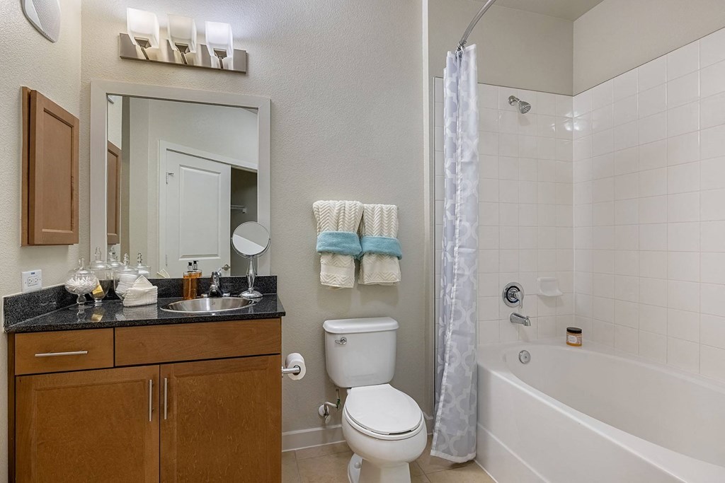 a bathroom with a sink toilet and tub and a mirror