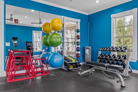 the gym at the house