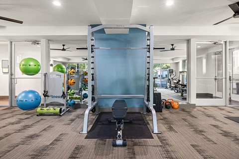 A gym with a variety of equipment including a squat rack, exercise balls, and dumbbells.