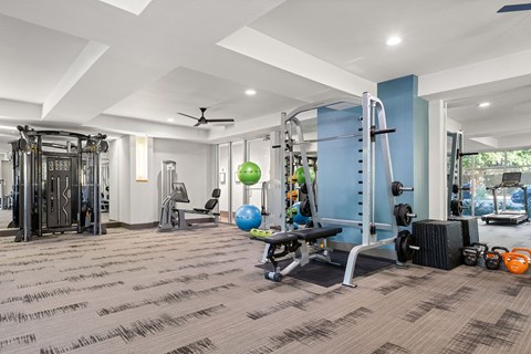A gym with a variety of equipment including a bench, weights, and a squat rack.