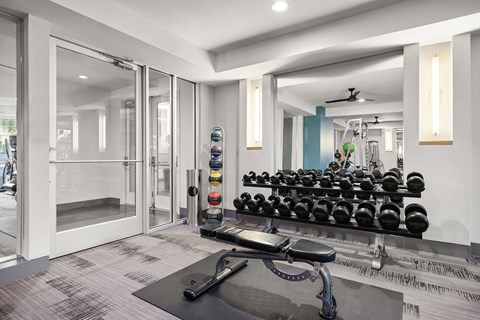 A gym with a row of dumbbells and a bench in the foreground.