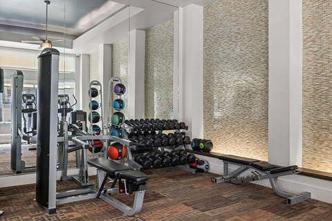 A gym with a variety of equipment including weights and a bench.