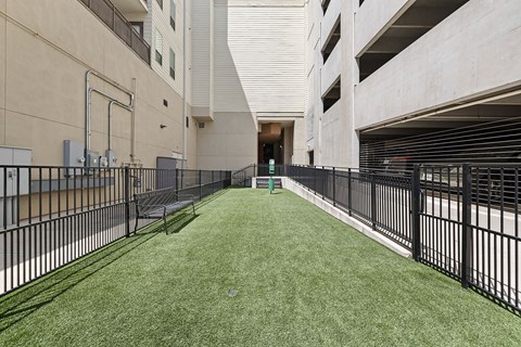 Pet Play Area