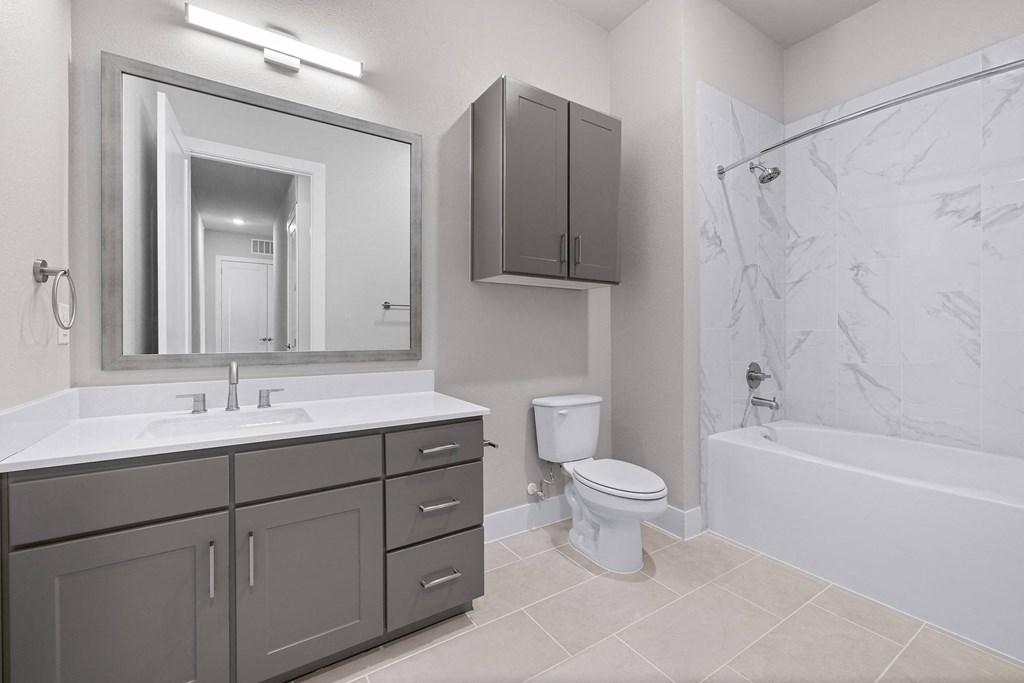 the preserve at ballantyne commons apartment bathroom with sink toilet and tub