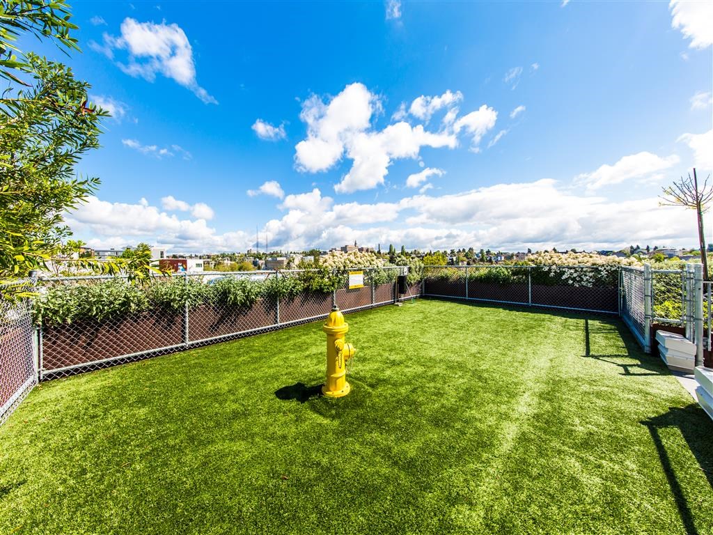 a yellow fire hydrant in the middle of a green yard