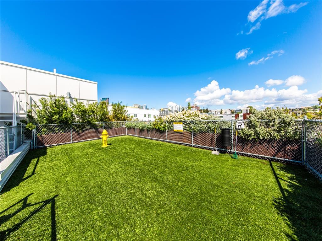 the backyard is fenced in with green grass and a yellow fire hydrant