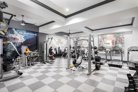 A gym with a variety of equipment including a treadmill, a stationary bike, a rowing machine, a bench press, a squat rack, a leg press machine, a cable machine, a dumbbell