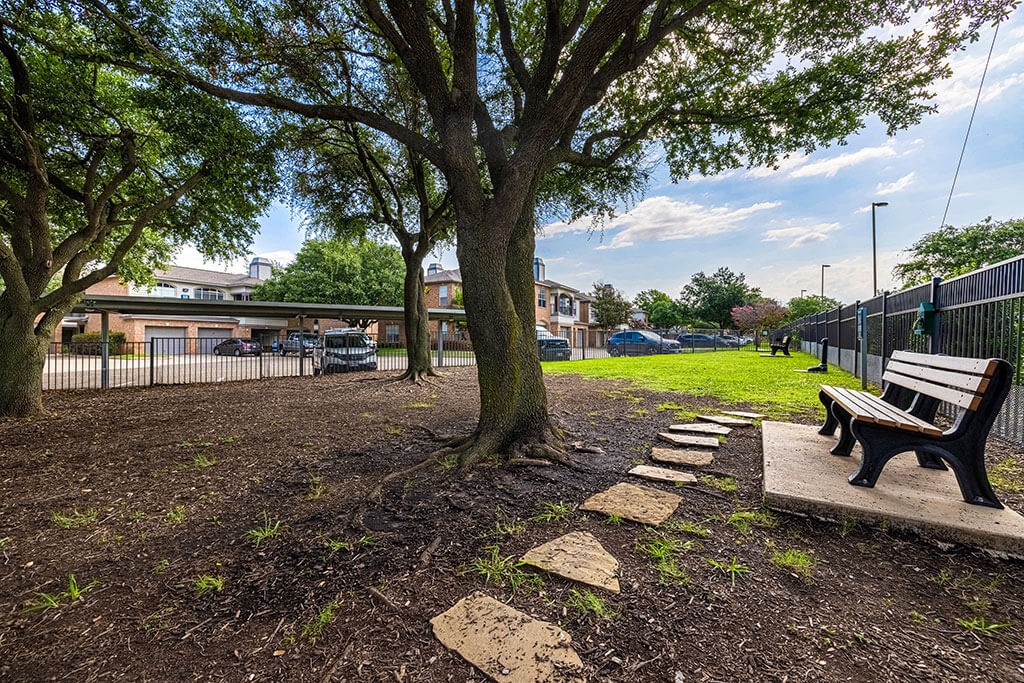 a park bench sitting next to a tree