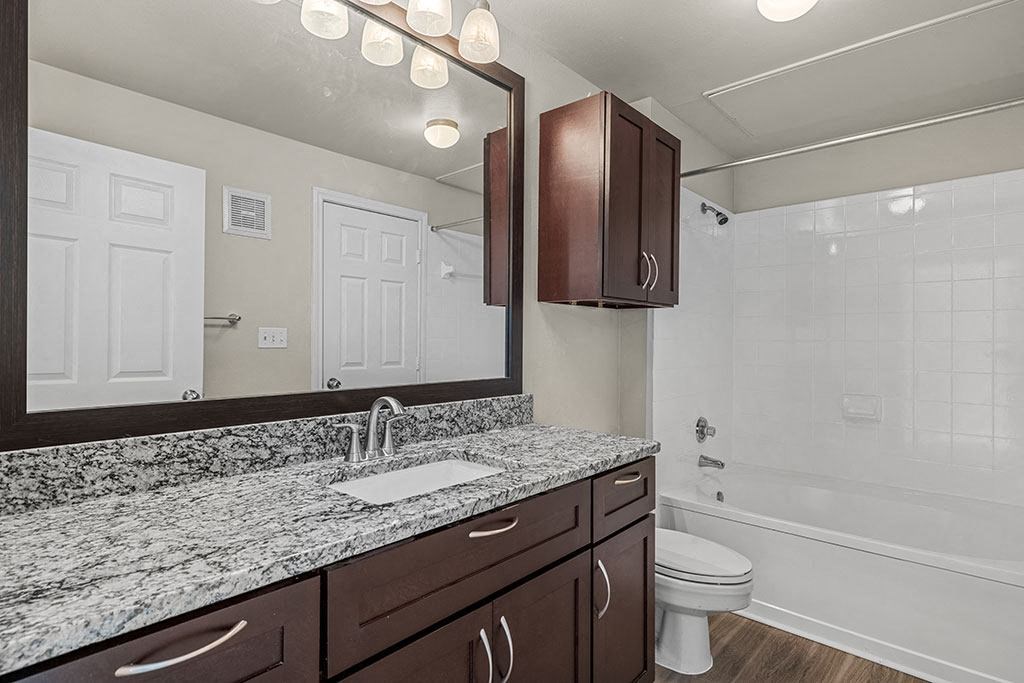 a bathroom with a sink and a toilet and a mirror