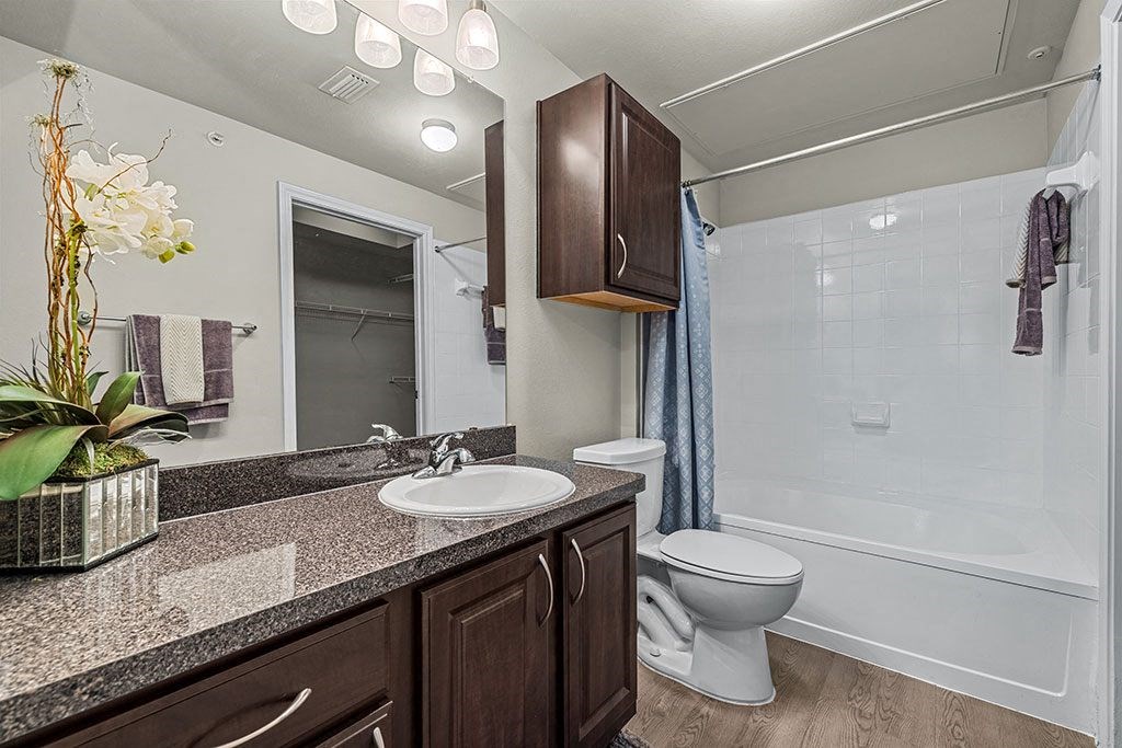 a bathroom with a sink toilet and a shower