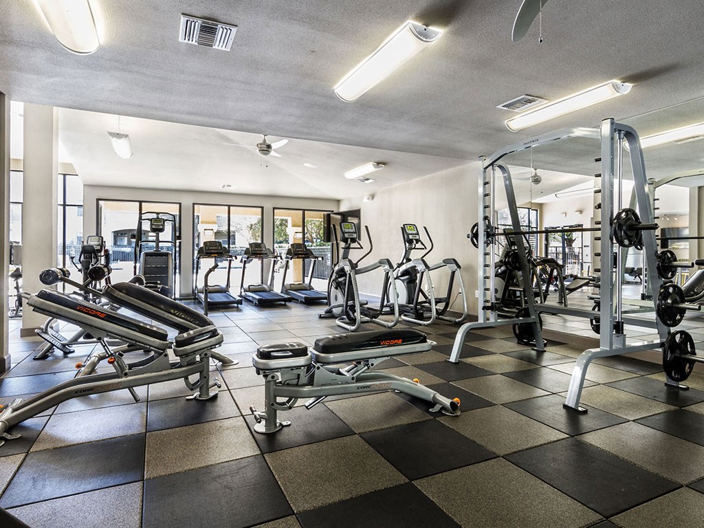 a gym with cardio machines and weights on a checkered floor