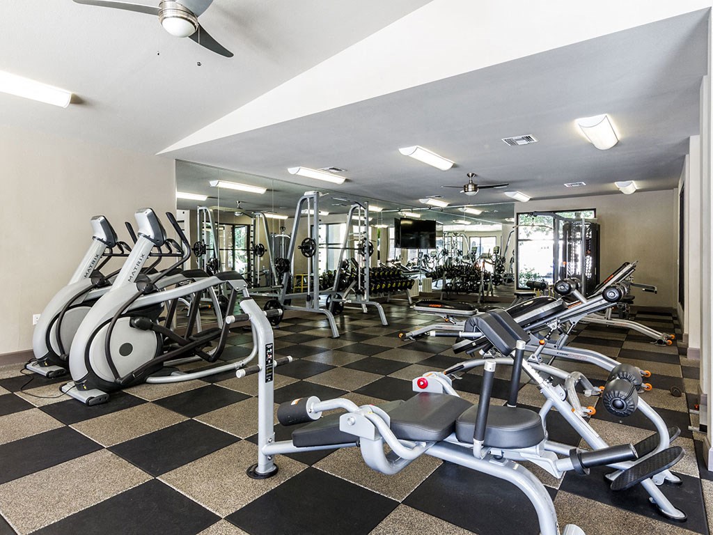 the gym at the monarch luxury apartments