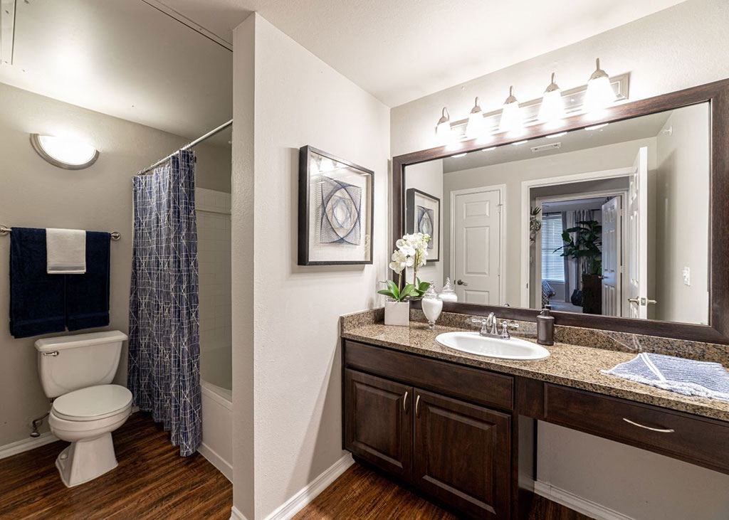 a bathroom with a toilet and a sink and a mirror