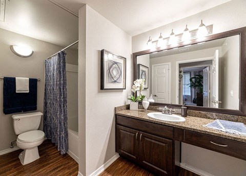 a bathroom with a toilet and a sink and a mirror