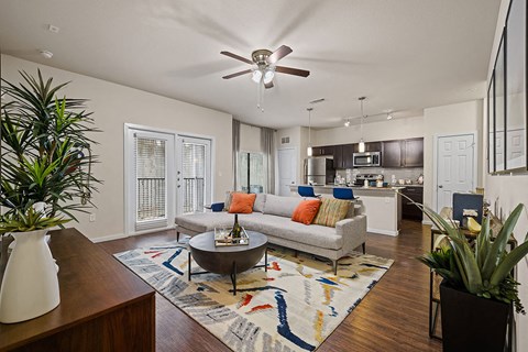 A living room with a grey couch and a rug.