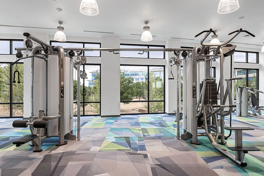 a gym with weights and cardio equipment and windows