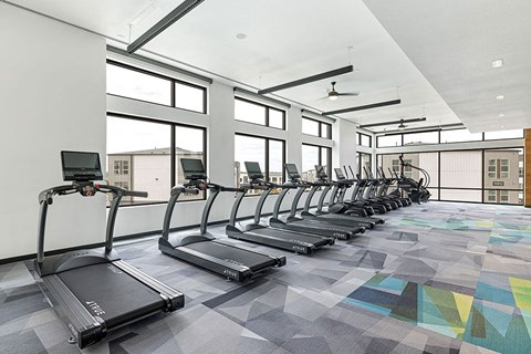 a gym with rows of cardio equipment and windows
