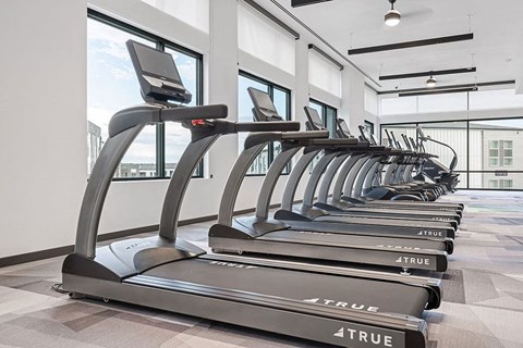 a row of cardio machines in a fitness room